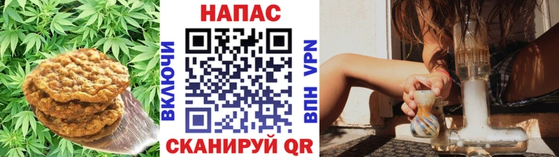 Купить где  Обоянь  Печенье с ТГК марихуана 