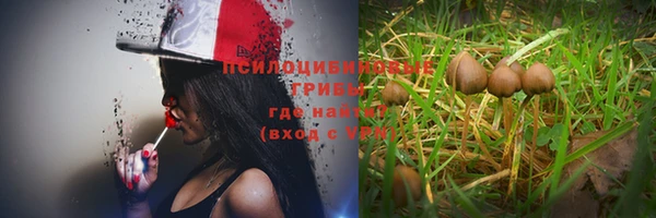 стаф Верхнеуральск