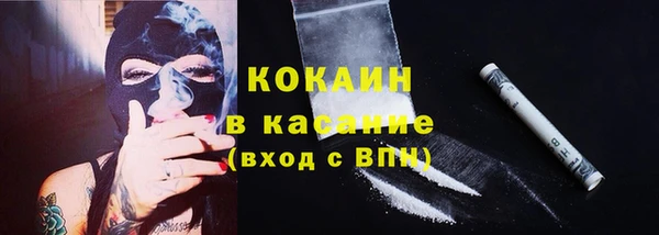 шишки Бронницы