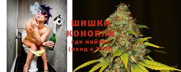шишки Бронницы